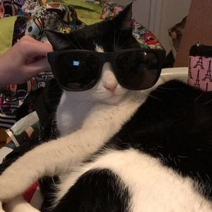 Meet your Posher, Destiny